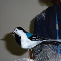 christine_cather avatar