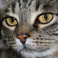 wally_j_young_7 avatar