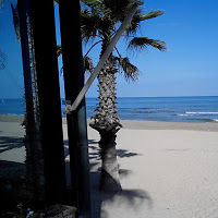 guidoferretti avatar