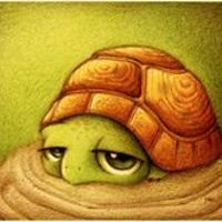 verona_a_petrak avatar