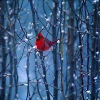 katherine_werner_7 avatar