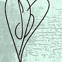 indra_cardoso avatar