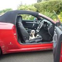 janice_rush_35 avatar