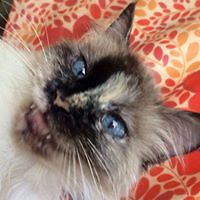 laura_w_stout_3 avatar