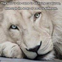 elizabethcookoct8 avatar