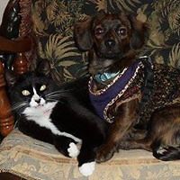 robin_l_mccarthy avatar