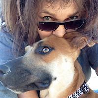 janet_litton_3 avatar