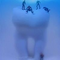 danecolfaxstephenson avatar