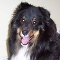 bill_purcell_547 avatar