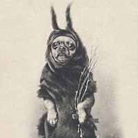 leslie_b_keating_5 avatar