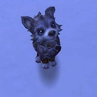 angie_cousins_7 avatar