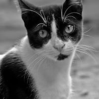 miriam_r_wolff avatar