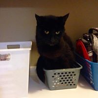 angelamarie55 avatar