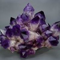 sarolta_solcan avatar