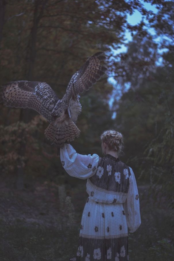 The Owls Are Not What They Seem - Photo Session With Real Birds