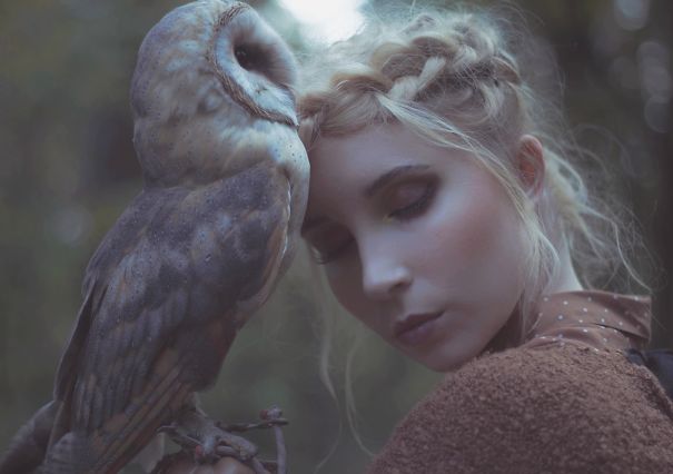 The Owls Are Not What They Seem - Photo Session With Real Birds