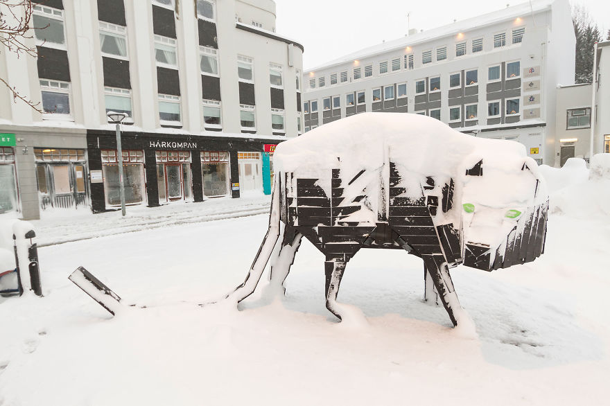 Snow Storm In Akureyri, North Iceland