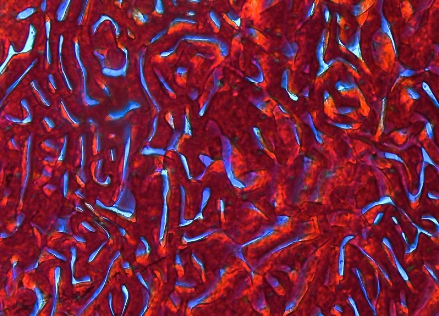 Around The World In 15 Rocks!