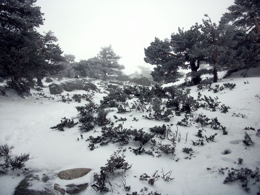Camino Schmidt In Navacerrada, Spain