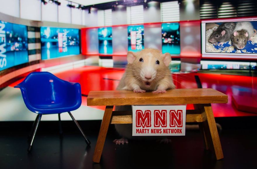 The Adorable Adventures Of Marty Mouse