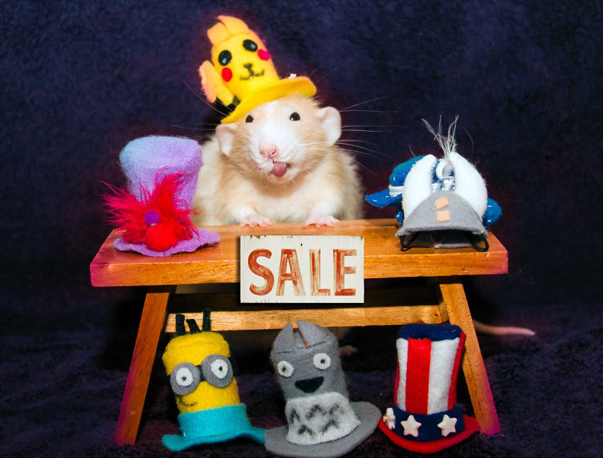 The Adorable Adventures Of Marty Mouse