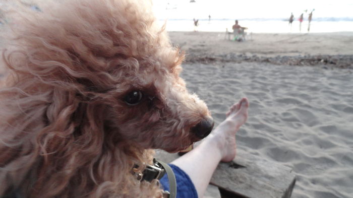 Feet Up At The Beach