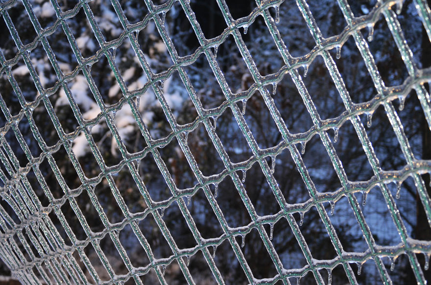 Frozen Fence