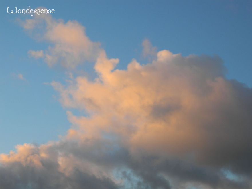 Photographs From My Christmas In Rural Wales