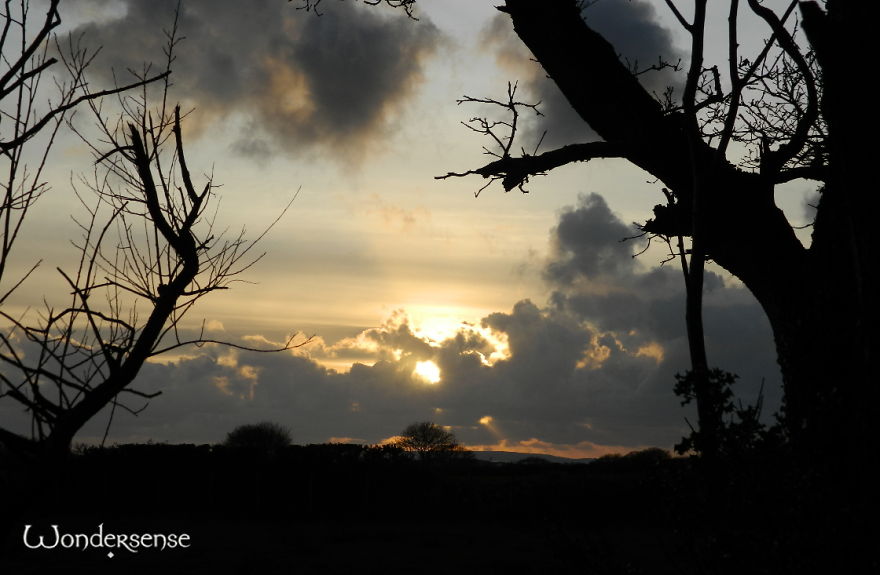 Photographs From My Christmas In Rural Wales