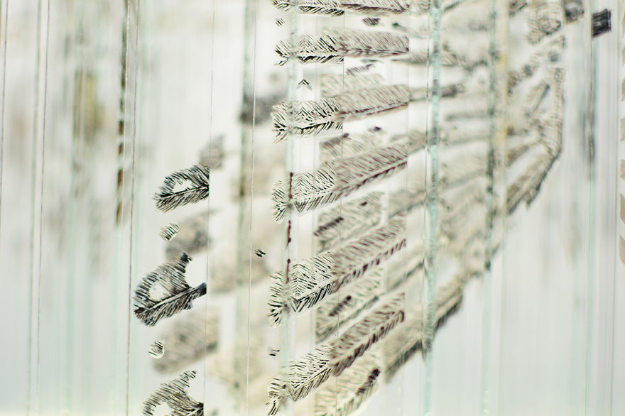 Glass Sculpture Made Of 160 Hand Painted Glass Strips Reveals Four Hidden Animals When Rotated Glass Sculpture Made Of 160 Hand Painted Glass Strips Reveals Four Hidden Animals When Rotated