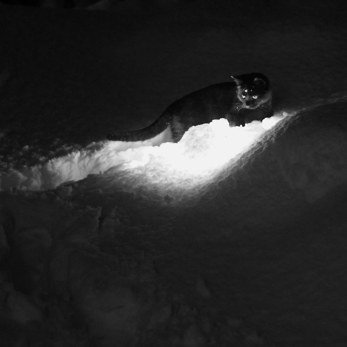 Dark And Snow By Veronika Klimonova (werdza)