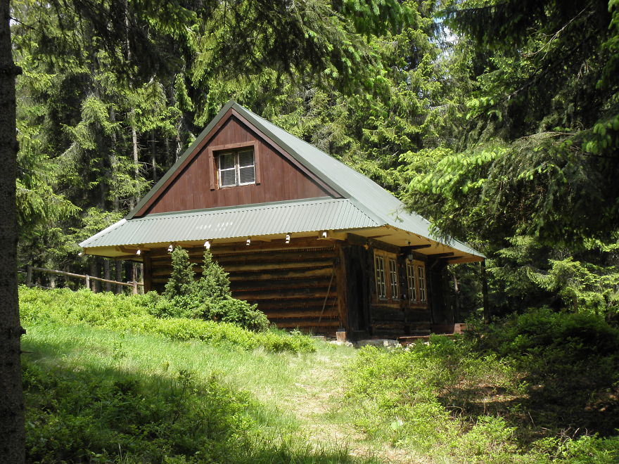 Deep In The Forest, Poland
