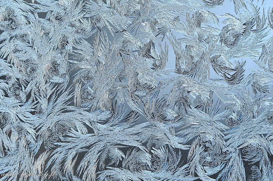 Frost On The Glass