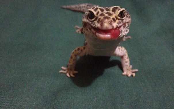 Is It Dinner Time Yet? Leo's Hungry!