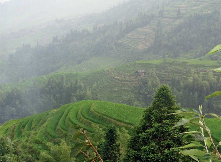 Dragon's Backbone - Guanxi, China