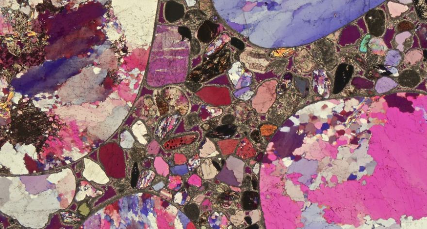 On The Beach: My Microscopic Journey In Southern Spain