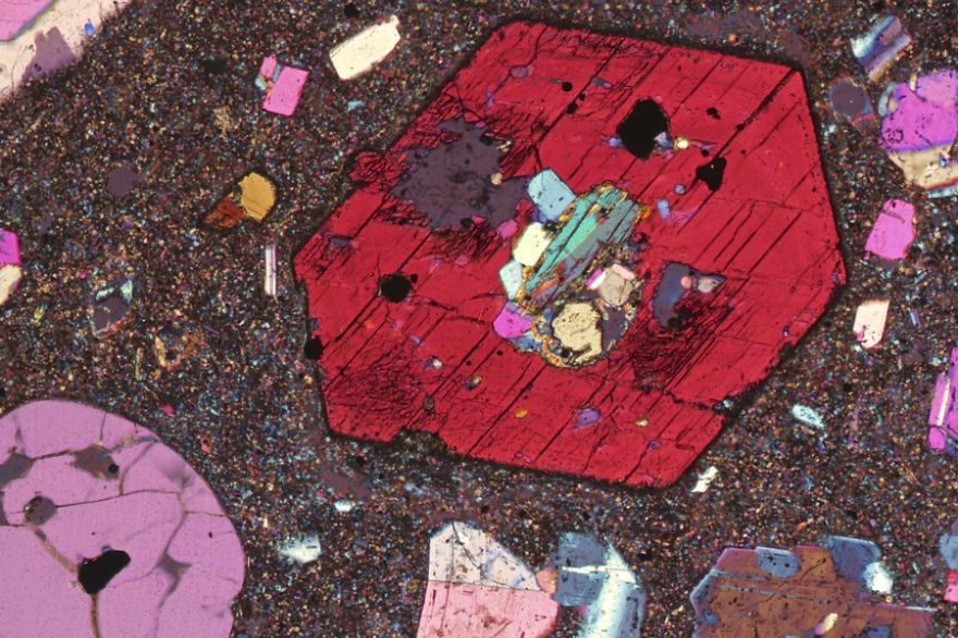 On The Beach: My Microscopic Journey In Southern Spain