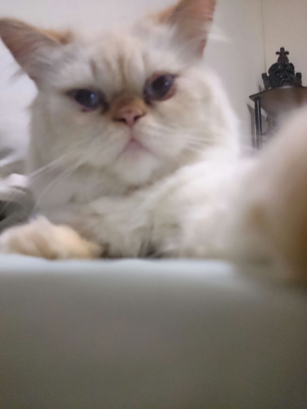 Damian. He Takes His Own Selfies!