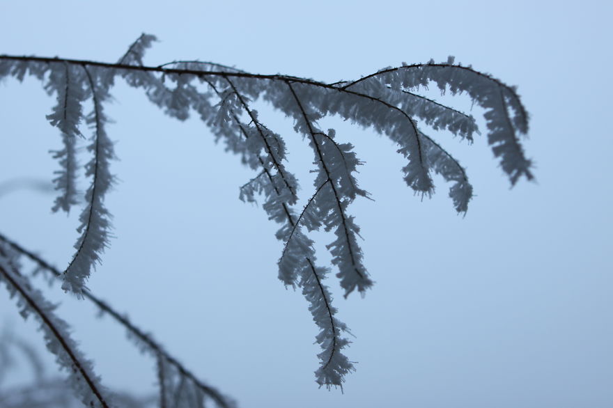 Freezing Fog In Geneva Area