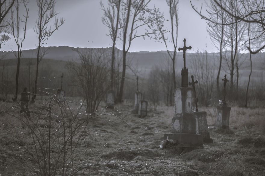 Deer Christmas: My Landscape Photography From Polish Countryside