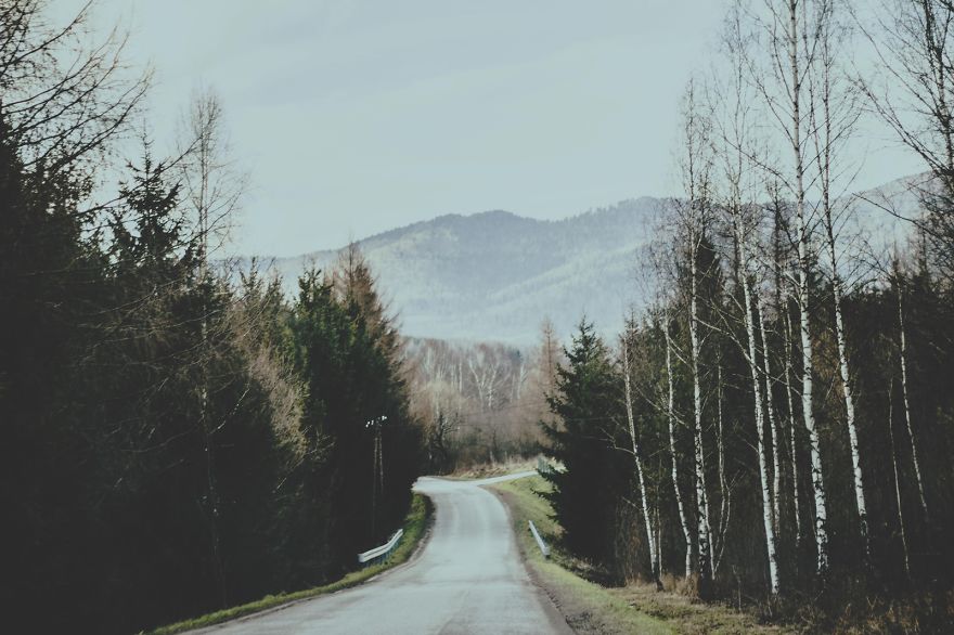 Deer Christmas: My Landscape Photography From Polish Countryside