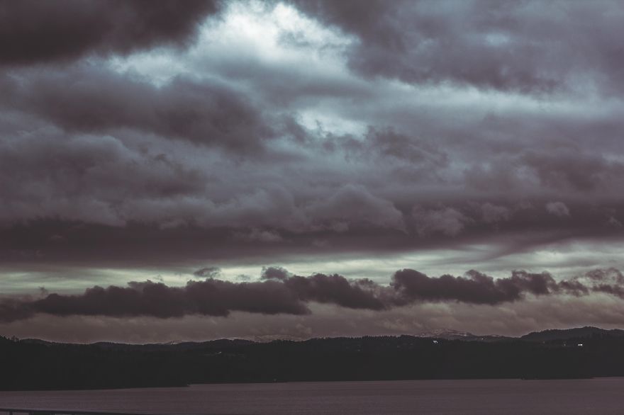 Deer Christmas: My Landscape Photography From Polish Countryside