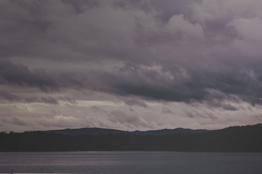 Deer Christmas: My Landscape Photography From Polish Countryside