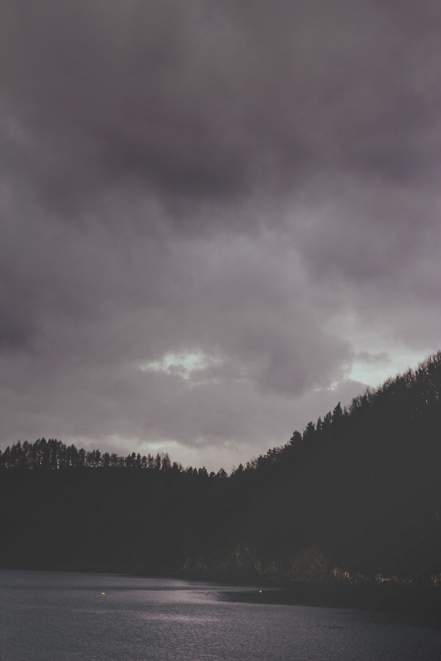 Deer Christmas: My Landscape Photography From Polish Countryside