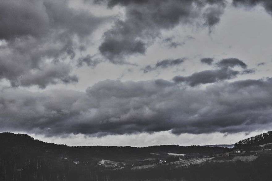 Deer Christmas: My Landscape Photography From Polish Countryside