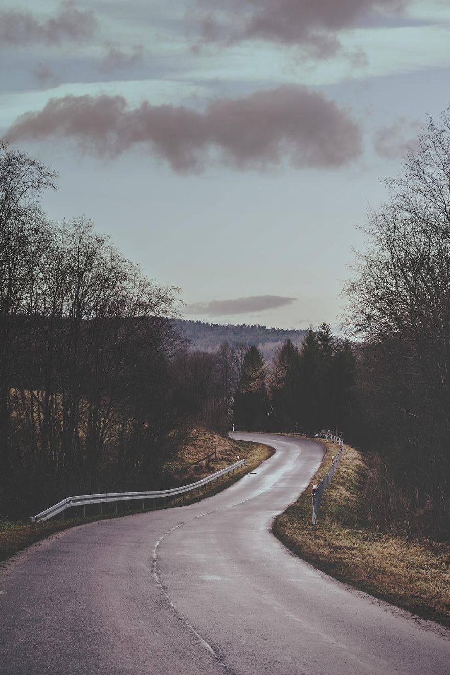 Deer Christmas: My Landscape Photography From Polish Countryside