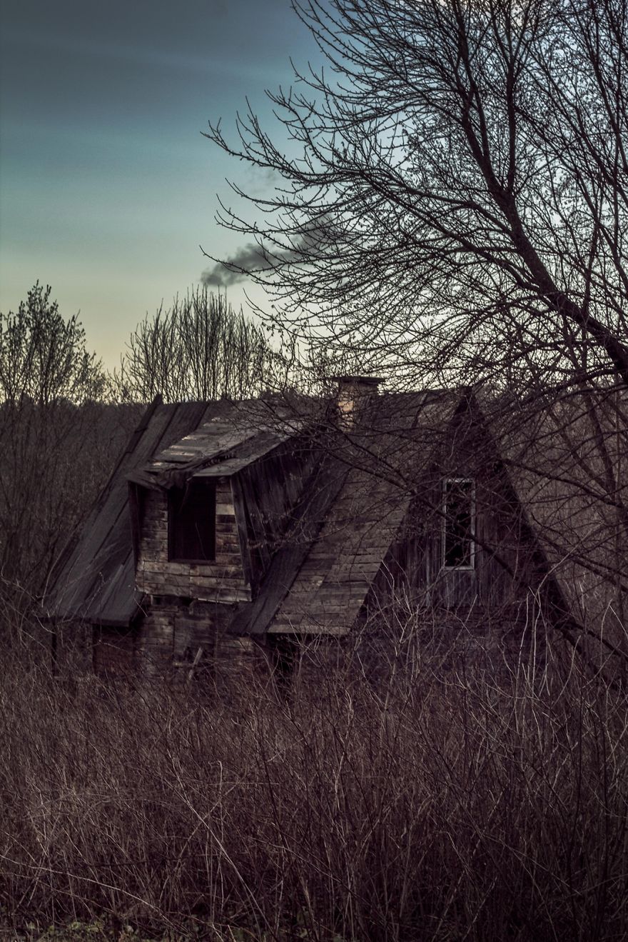 Deer Christmas: My Landscape Photography From Polish Countryside