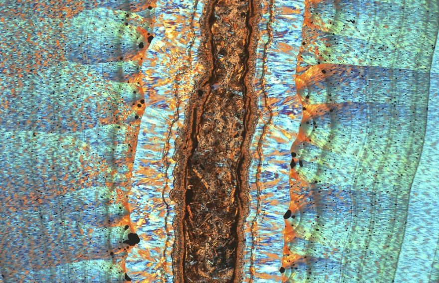 Agate: Stunning Microscapes In A Lovely Stone