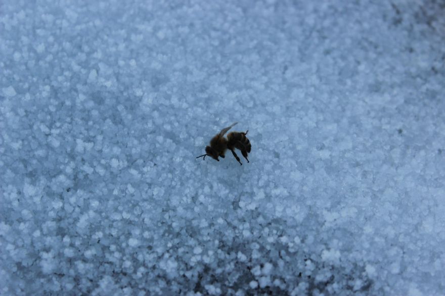 It Was A Cold Winter