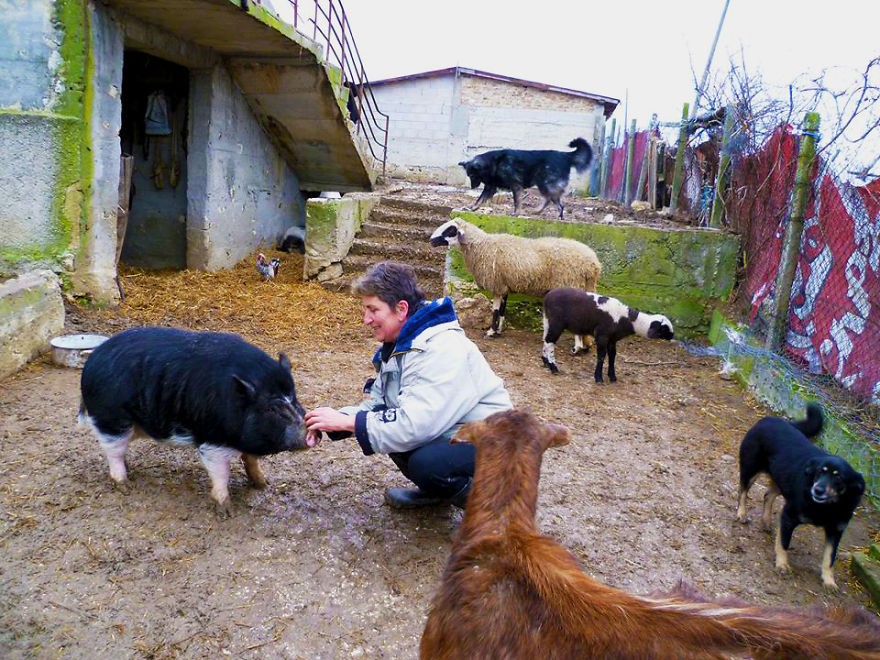 Jewel Was Left To Die In The Cold But These People In Bulgaria Could Not Let It Happen Jewel Was Left To Die In The Cold But These People In Bulgaria Could Not Let It Happen